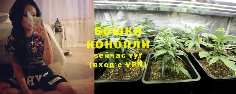 mega ссылка  дарнет шоп  Мегион  Бошки Шишки LSD WEED 